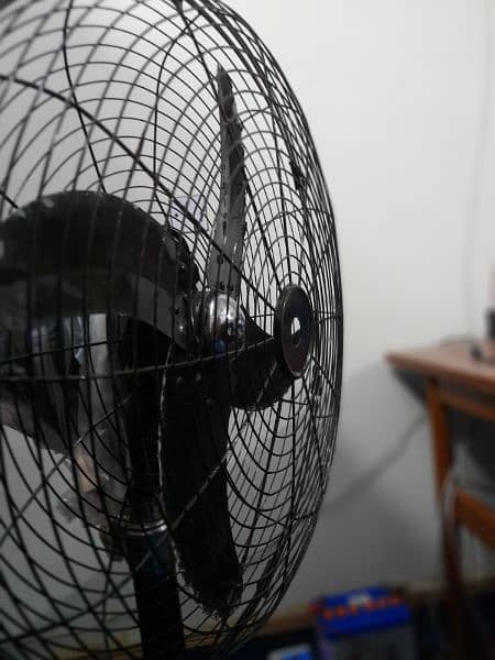 rehbar 12volt fan 3