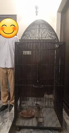 large bird cage