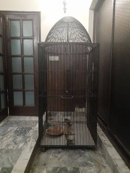 large bird cage 1