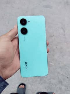 vivo