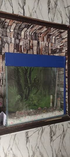 24×24×7 Aquarium for sale