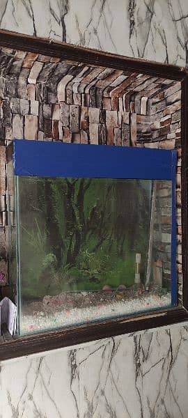 24×24×7 Aquarium for sale 0