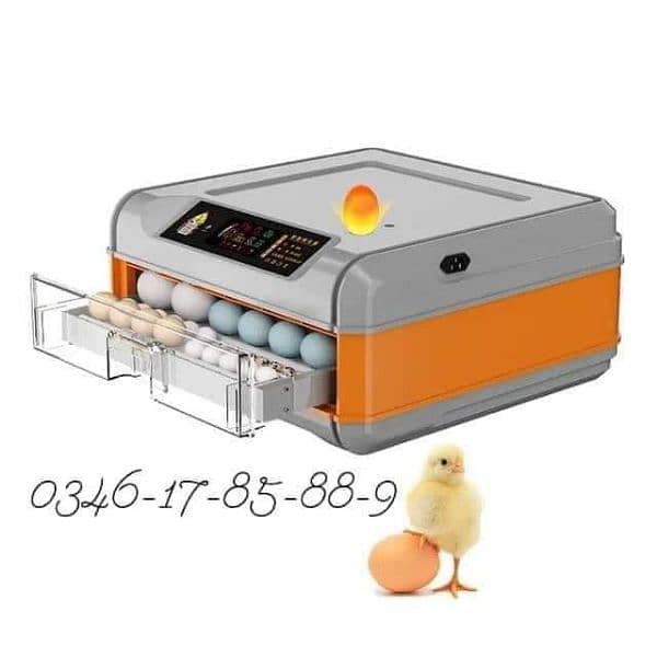 Incubator & Brooder Wholesale Dealers 13