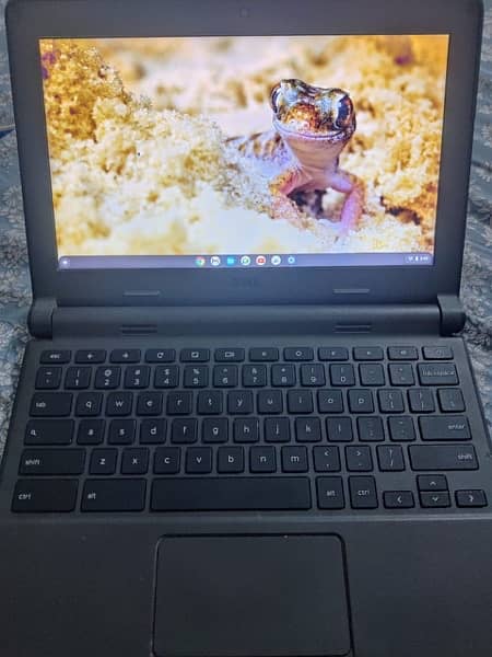 Dell Chromebook 2