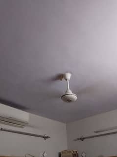 selling 10/10 celling and pedestal fans