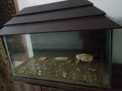 3 feet used Aquarium and top cover only