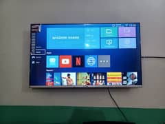 Led 48 inches for sale