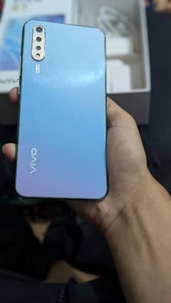 Vivo