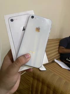 iphone 8 pta approved