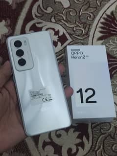 oppo Reno 12 5G (urgent sale)