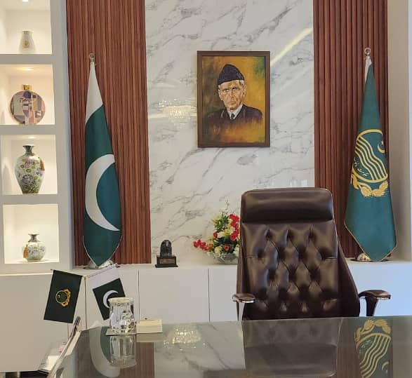 Punjab Flag  Pakistan Flag ,Government Flag & golden Pole, table flag 6