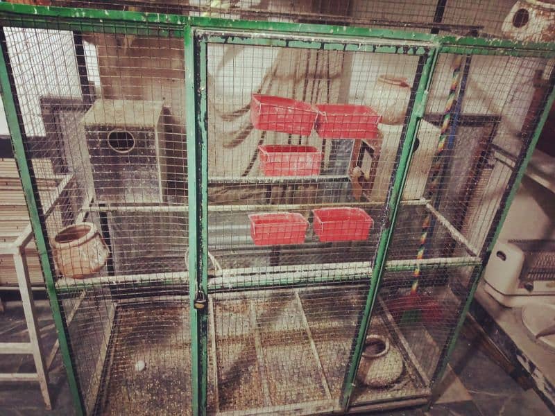 birds with cage due to shifting full set-up for sale 1