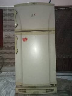 Pel Frige medium size