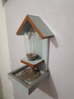 birds feeder