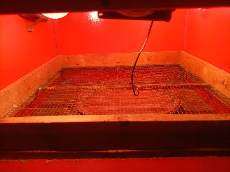 Eggs incubator for sale 1