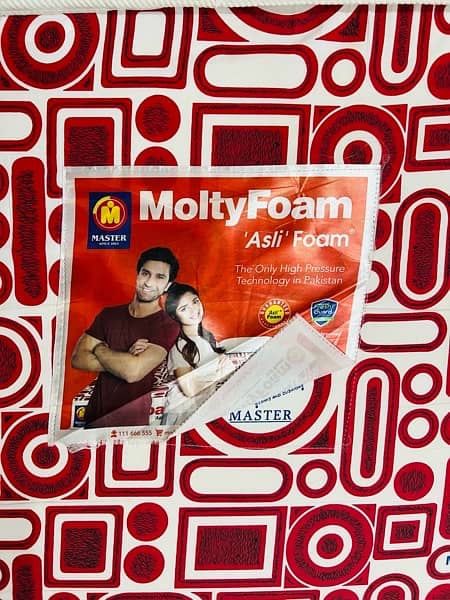 Molty Master Foam Asli Mattress 2