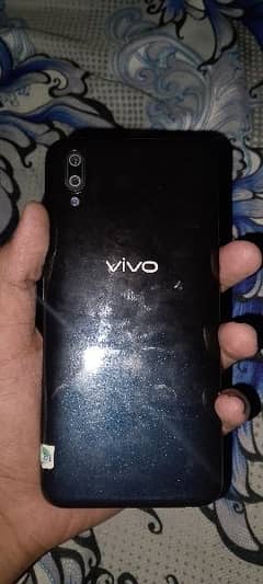 ViVo