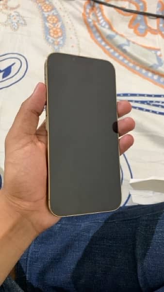 Iphone 13 Pro max 256 gb 5