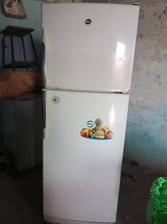 Pel Refrigerator | Fridge