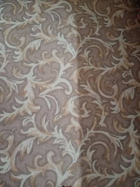 carpets 12*13 feet in size(2 carpets) 1