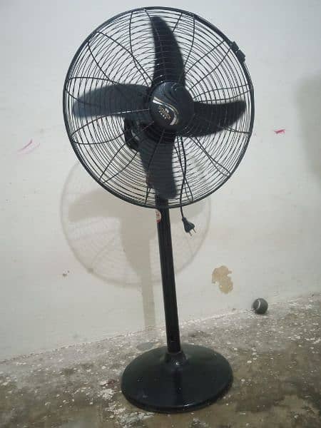 sonex fan 1