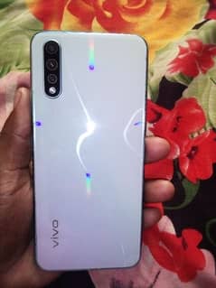 vivo