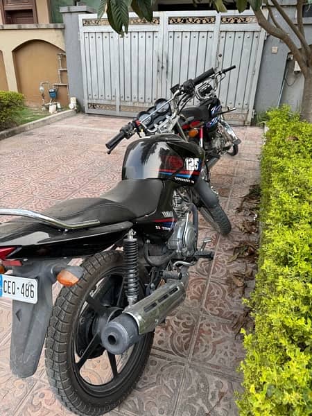 YAMAHA YBR 125G GENUINE BIKE 3