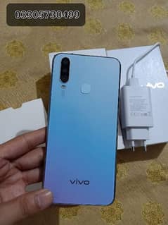 Vivo