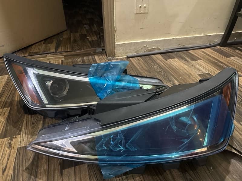 hyundai elantra alligator light 0