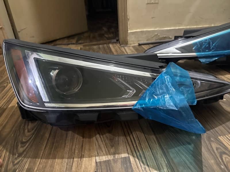 hyundai elantra alligator light 4