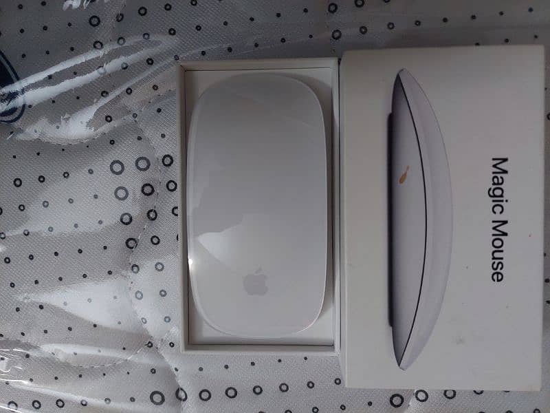 Apple Magic Mouse 2 0