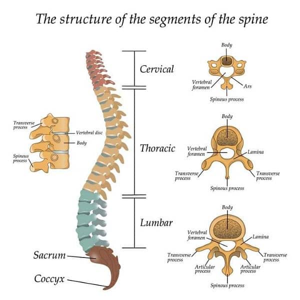 physiotherapy services 1