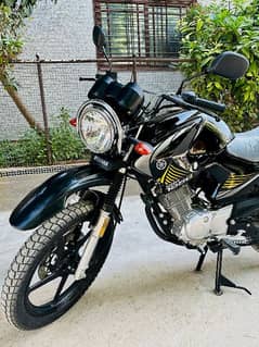 Yamaha YBR 125G Only 1k Driven 2024 model