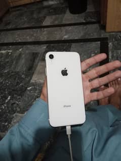 IPhone XR 64gb jv 10/10 waterpack 95 BH face id ok Total Geniune