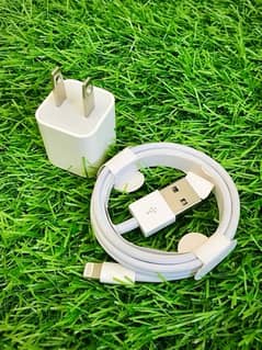 iphone original charger,2pin,5watt/iphone 5s,6,6s6splus,7,8,x charger 0