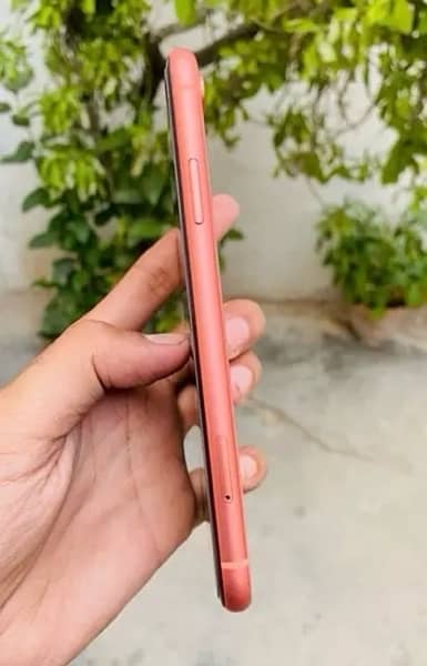 iphone XR 128gb pta aproved and box 3