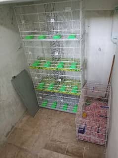 8 portion  MASTER full folding cage for sale