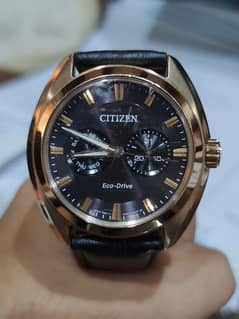 Citizen Eco-Drive BU4013-07H | 8725-S109515