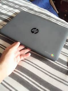 HP