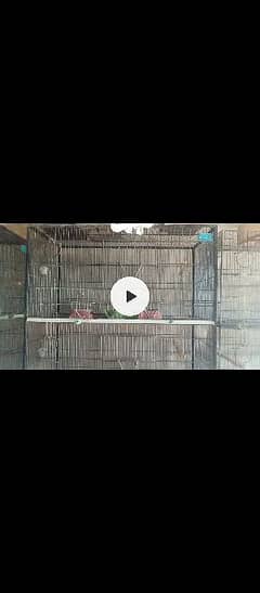 used cages for parrots