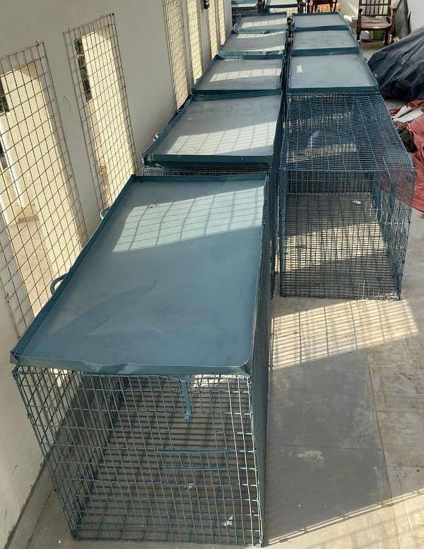 15 Heavy duty Cages for Grey Parrot or Green Parrot (Pahari) 3