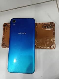 vivo