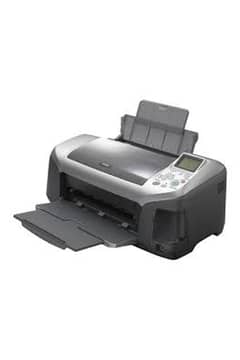 Epson R300