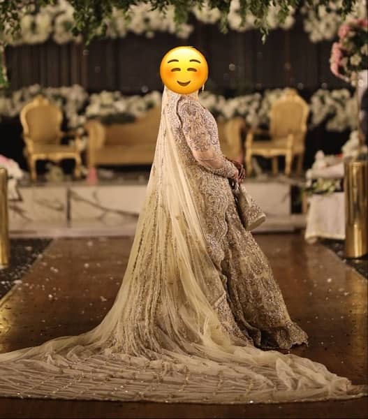 walima Dress | Bridal Dress | Maxi Dress 2