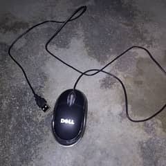 Mouse 0