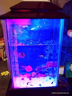 fish aquarium  interested person only call