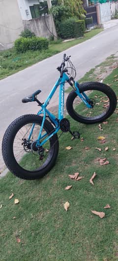 FAT BIKE