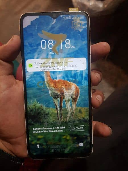 Infinix Smart 7 1