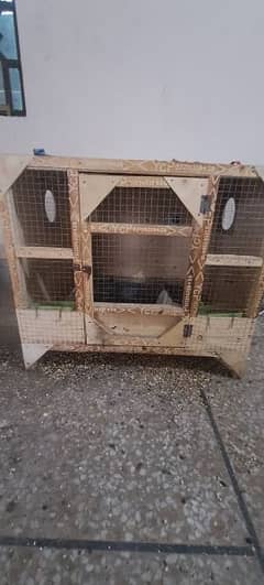 brooder for sale in reasonable price