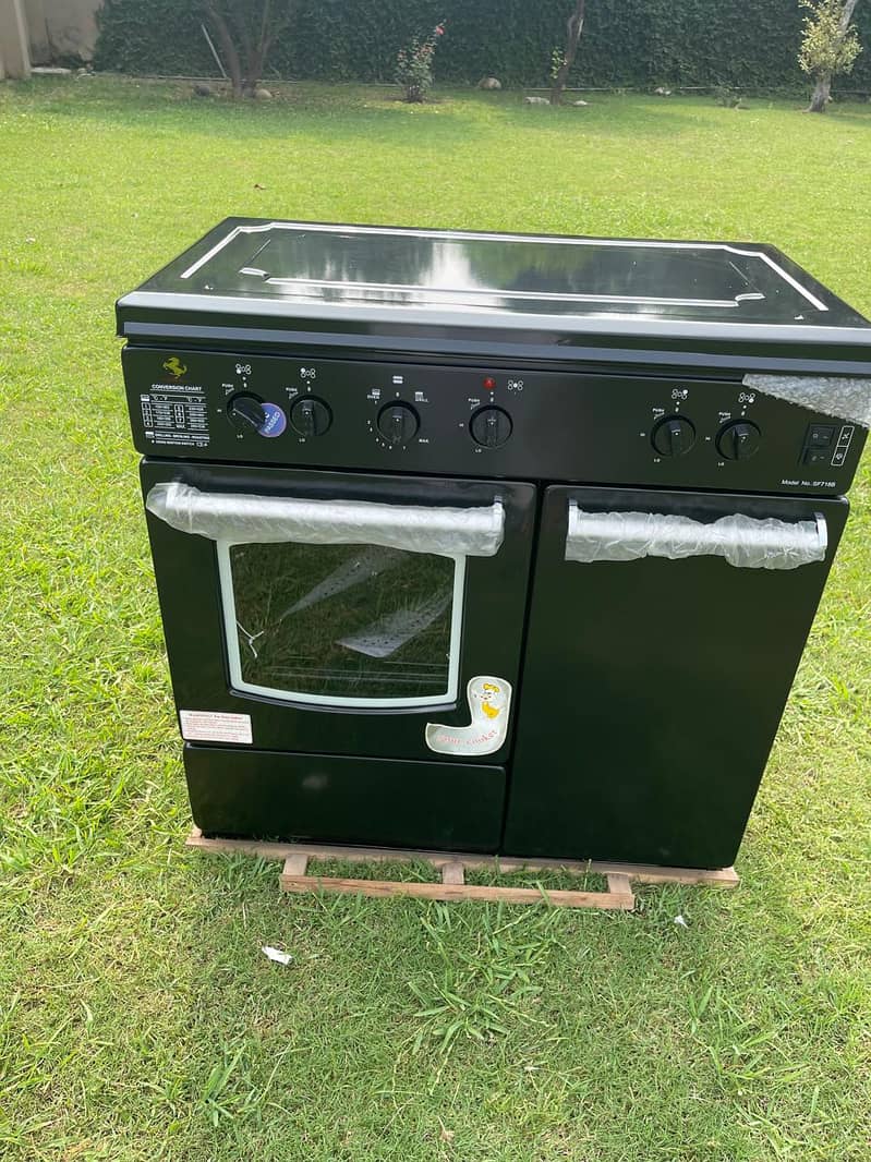 Fire Streak Cooking Range with Oven Versatile and Efficient Cooking Ap 2